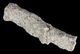 - Fulgurites (Petrified Lightning) Wholesale Lot ~ Pieces #76036-2